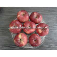 fresh Huaniu Apple 100-125 18kg